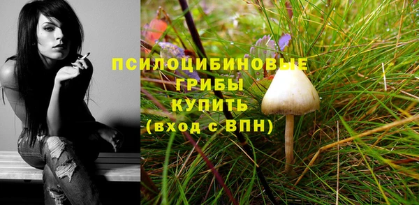 PSILOCYBIN Богданович