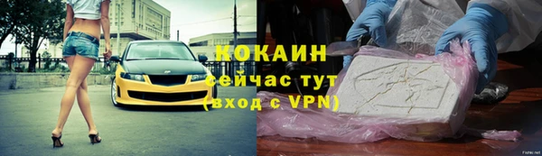 PSILOCYBIN Богданович