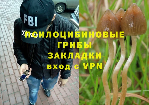 PSILOCYBIN Богданович
