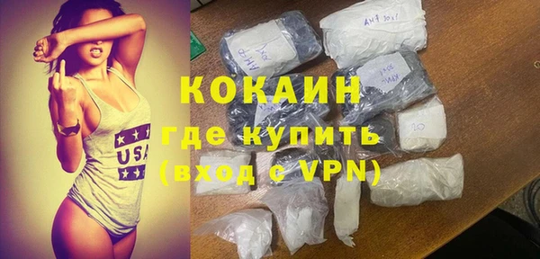 молекула духа Бородино