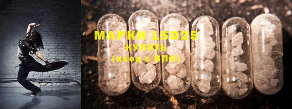 PSILOCYBIN Богданович