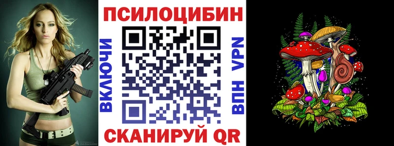 наркотики  Трубчевск  Псилоцибиновые грибы Cubensis 